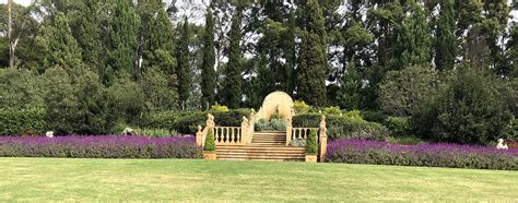 Planters Patch Passionate About Plants