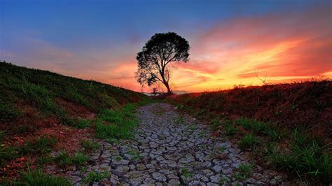 Sunlight Landscape Forest Sunset Hill Nature Grass Field