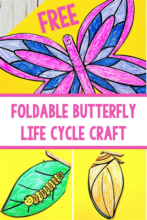 Butterfly Life Cycle Craft Free Printable Printable Free Templates