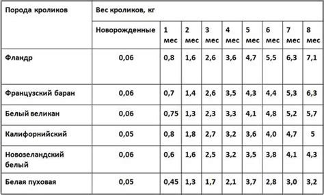 Весы. Сколько весят кролики разных пород по месяцам | Знай ферму | Дзен