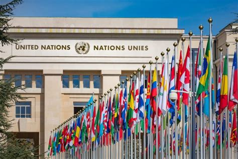 UN numbers, explained!