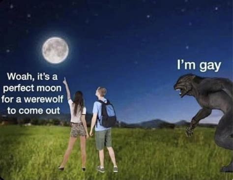 Funny Gay Sex Memes For Him Psadofinancial