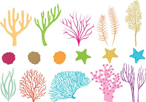 Coral Reef Vector Png