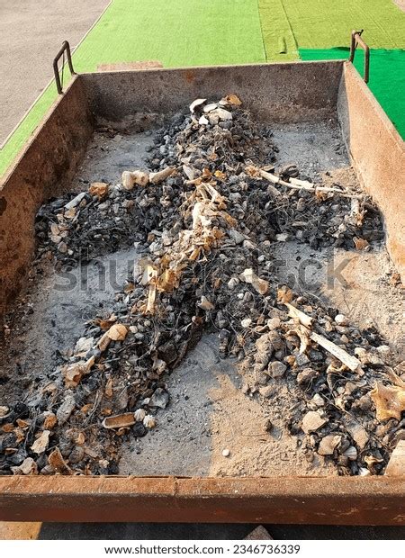 Bones Left After Cremation Were Arranged Stock Photo 2346736339