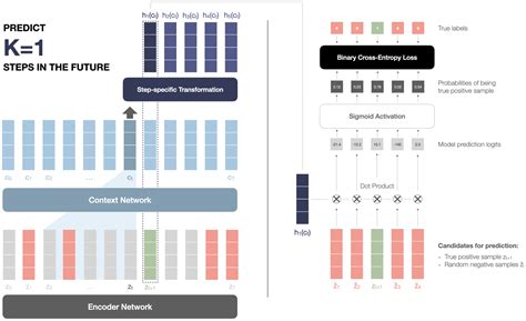 illustrated wavvec jonathan bgn
