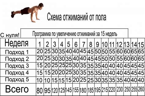 Программу Отжиманий На 15 Недель - nationinstruction