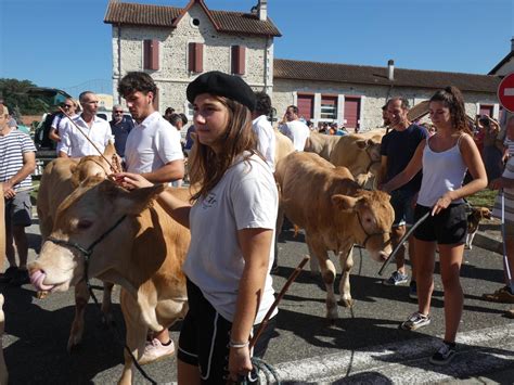 En images à Sauveterre la fête de la Blonde dAquitaine a tenu toutes ses promesses La