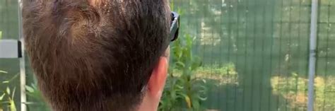 Io Accusato Di Omofobia Per Togliermi Il Figlio E Darlo A Una Coppia Gay PRO MEMORIA