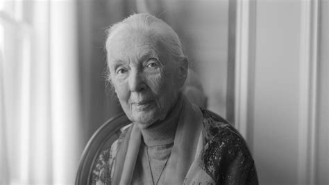 Immersive exhibits keep Jane Austin legacy alive for centuries 29