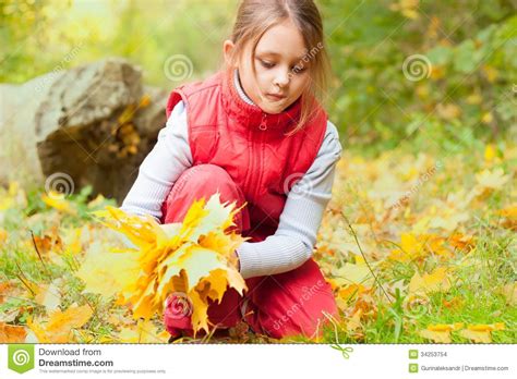 Child Gathers A Bouquet Leaves Stock Photo Image Of Leaf Cute 34253754