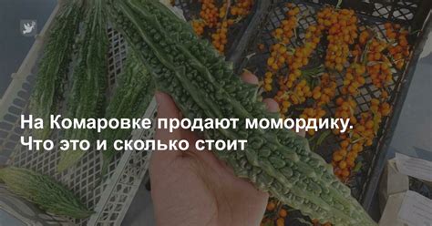 На Комаровке продают момордику. Что это и сколько стоит