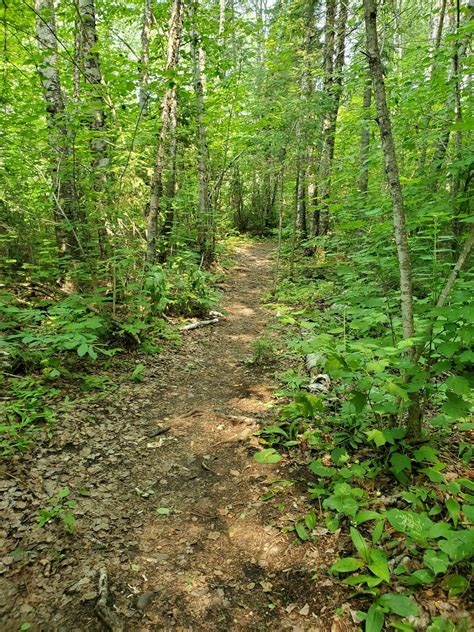 Kama Cliffs Trail - Ontario, Canada | AllTrails