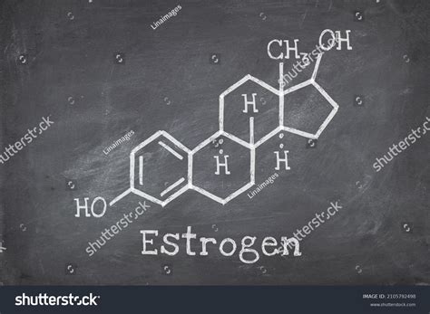 Chemical Structure Female Sex Hormone Estrogen Stock Photo 2105792498 Shutterstock