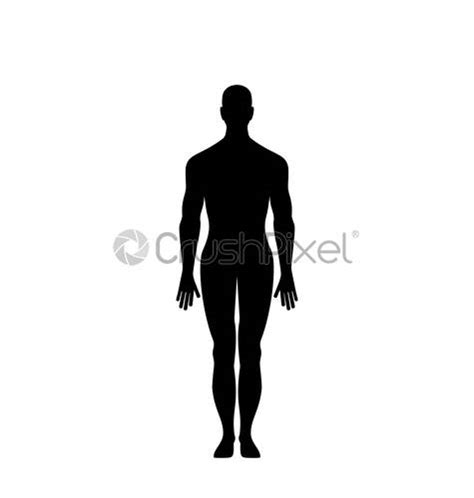Naked Girls And Men Silhouette Set Stock Vector Crushpixel