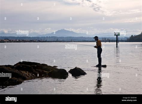 Jetty Island Everett Hi Res Stock Photography And Images Alamy