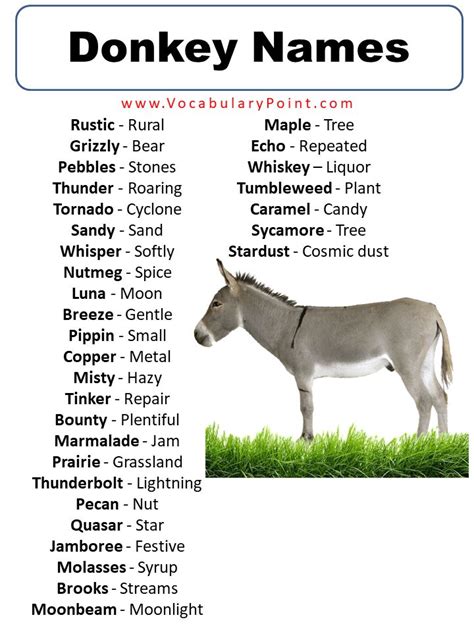 The Donkey Names In English And Spanish Are Shown On This Page Which