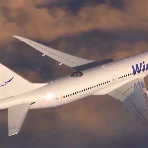 video stewart struzer  linkedin    trans canada vista