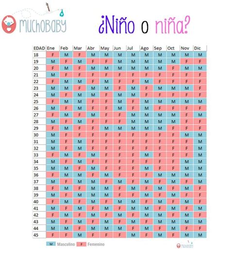 Original Calendario Chino 2024 Mina Suzann