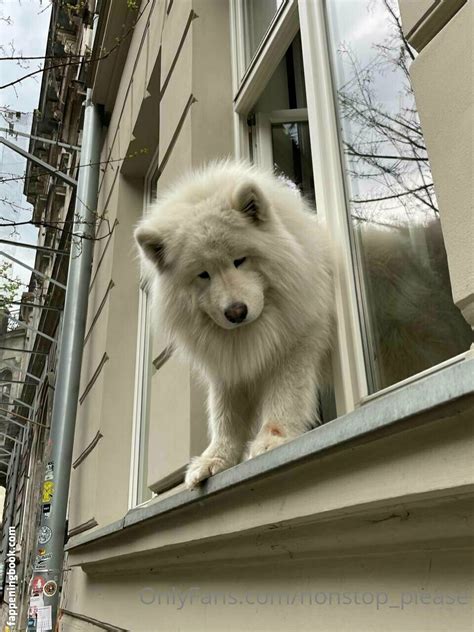 Nonstop Please Nude OnlyFans Leaks Fappening Page 3 FappeningBook