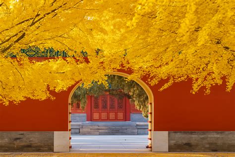 Disneyland Thượng Hải Có Gì Hot Hành Trình Trở Về Tuổi Thơ Phú