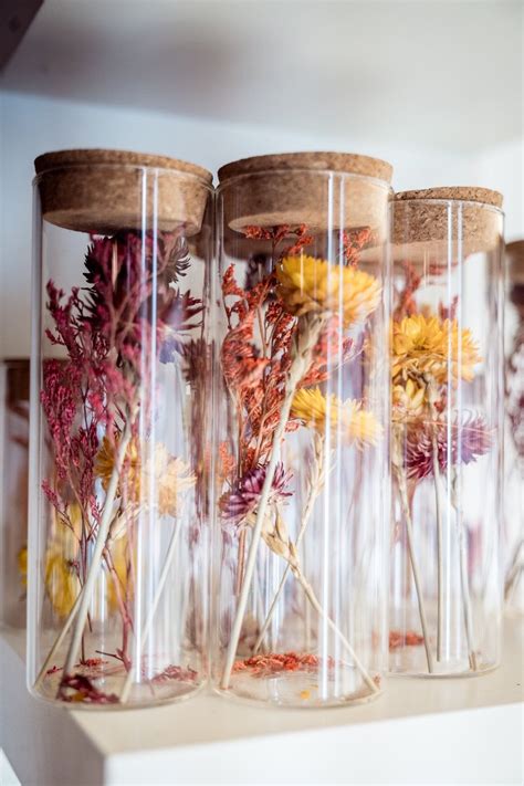 Trockenblumen Im Glas Gro Blumenboxbilk Essbare Pflanzen