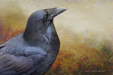 Raven Portrait Digital Art By R Christopher Vest Fine Art America