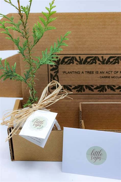 Planting New Roots Gift Tree Housewarming Gift - Etsy