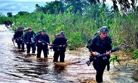 Est Gio De Opera Es No Pantanal Capacita Militares Em Rea De