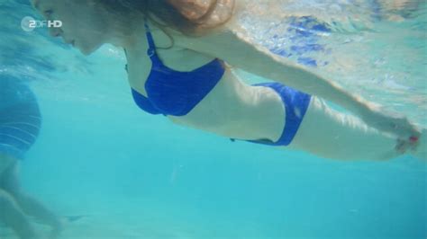 Nude Video Celebs Katharina Heyer Sexy Das Traumschiff E85 2019