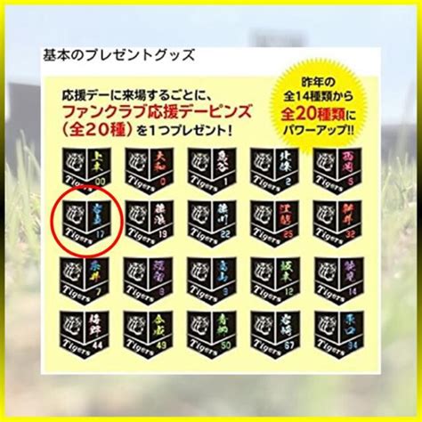 阪神タイガース／17岩貞選手セット Fc応援デーピンズ2種（旧番号）／新品 送込 レジャー スポーツ 新品・中古のオークション モバオク