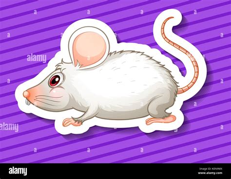 illustration of a close up mouse Stock Vector Image & Art - Alamy