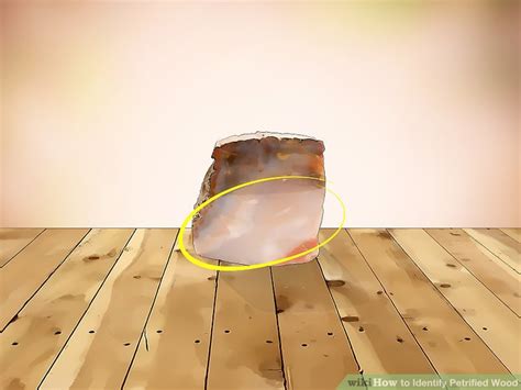 Simple Ways To Identify Petrified Wood 8 Steps With Pictures