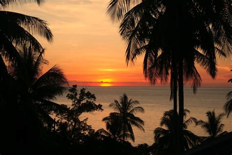 Hibiscus Villa Borneo Luxury And Tranquility At The Tip Of Borneo