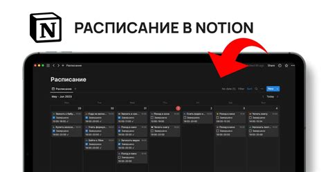 Как создать расписание в Notion. Подробное руководство