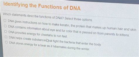 Solved Identifying The Functions Of Dna Which Statements Describe