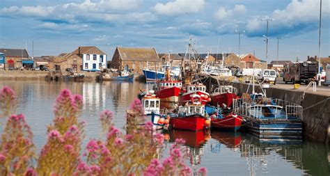 Howth Tour From Dublin Book Now Flat 20 Off