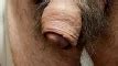 Glans Revealed And Cock Fills Up Full Gay Amateur Porn Feat Ximd XHamster