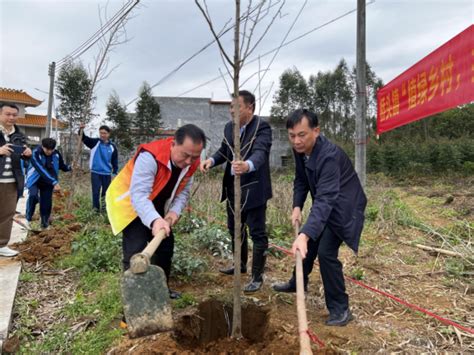 镇街动态【乡村绿化进行时】桥头镇：推进乡村绿化 厚植生态底色英德市人民政府网