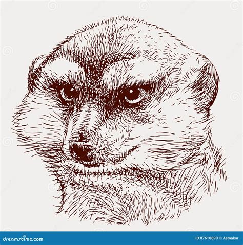 Portrait Of Mongoose In Suit. Royalty-Free Illustration | CartoonDealer ...