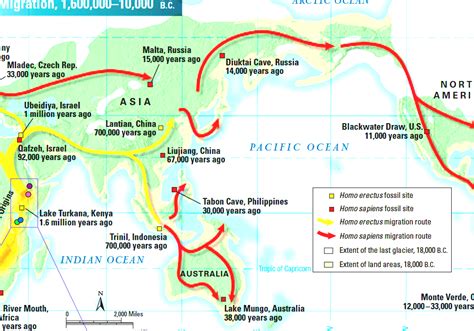 Early Human Migrations - Early Human