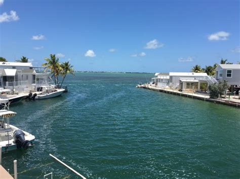 Venture Out Resort - UPDATED 2018 Reviews & Photos (Cudjoe Key, Florida ...