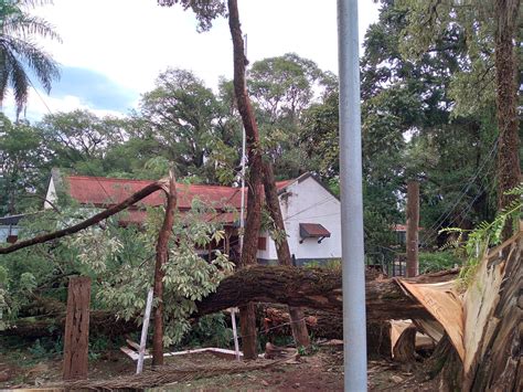 Video: Fuerte temporal causó destrozos en el interior correntino