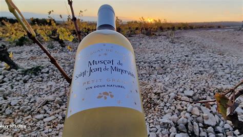Info Flash France Bleu Le Muscat De Noël De Saint Jean De Minervois