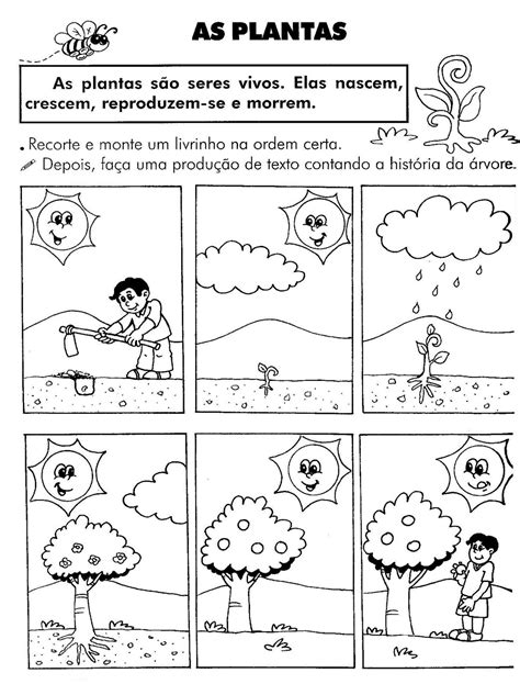 Atividade Sobre As Partes Das Plantas 2 Ano - 8