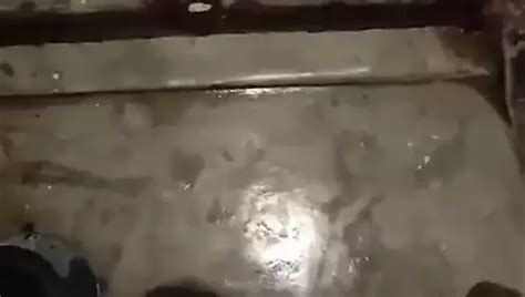 FirozBottom Gay Porn Videos Sex Model Nudes XHamster