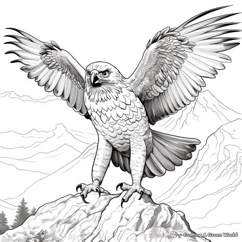 Falcon Coloring Pages Free And Printable