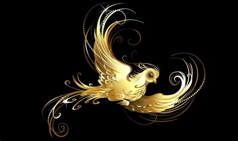 Обои с жар птицей в интерьере - 85 фото