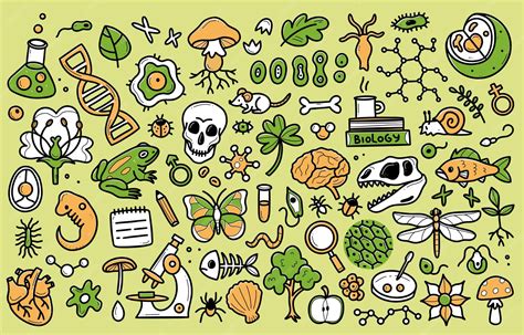 premium vector biology doodle set collection  hand drawn elements