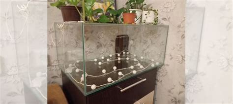 Аквариум купить в Новосибирске | Животные и зоотовары | Авито