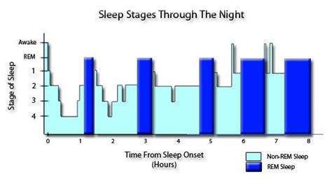 The Five Stages Of Sleep Characteristics Of Non Rem And Rem